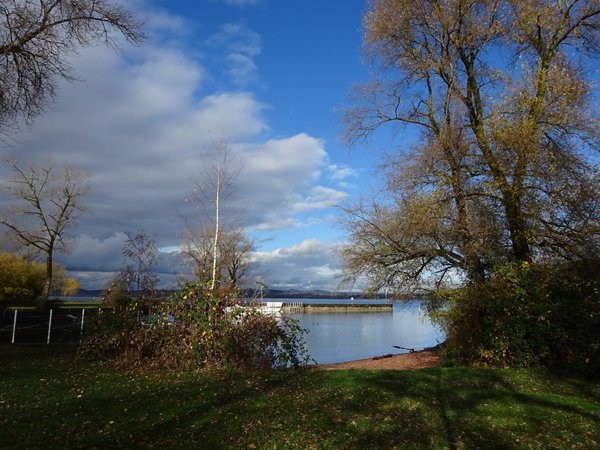 Best Of 2015 Lj Weinburg