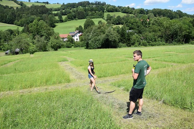 Sensenmähen der LJ Rabenstein