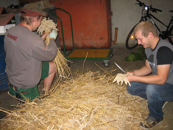 Erntekronebinden der Landjugend Rabenstein