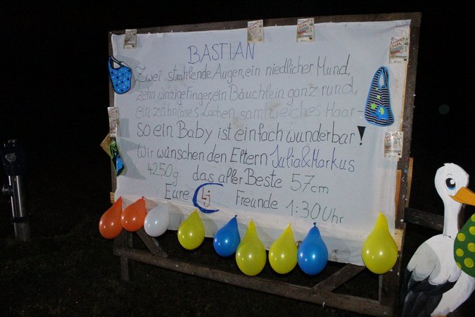 Storchaufstellen Julia und Markus - Bastian 30.12.2017 LJ Frankenfels Schwarzenbach