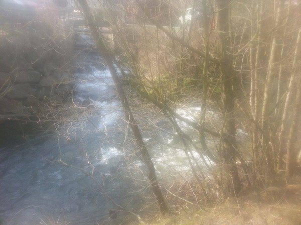 Bachräumaktion Frankenfels