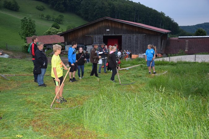 Sprengelsensenmähen der Lj Rabenstein