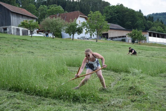 Rabensteiner Sprengelsensenmähen